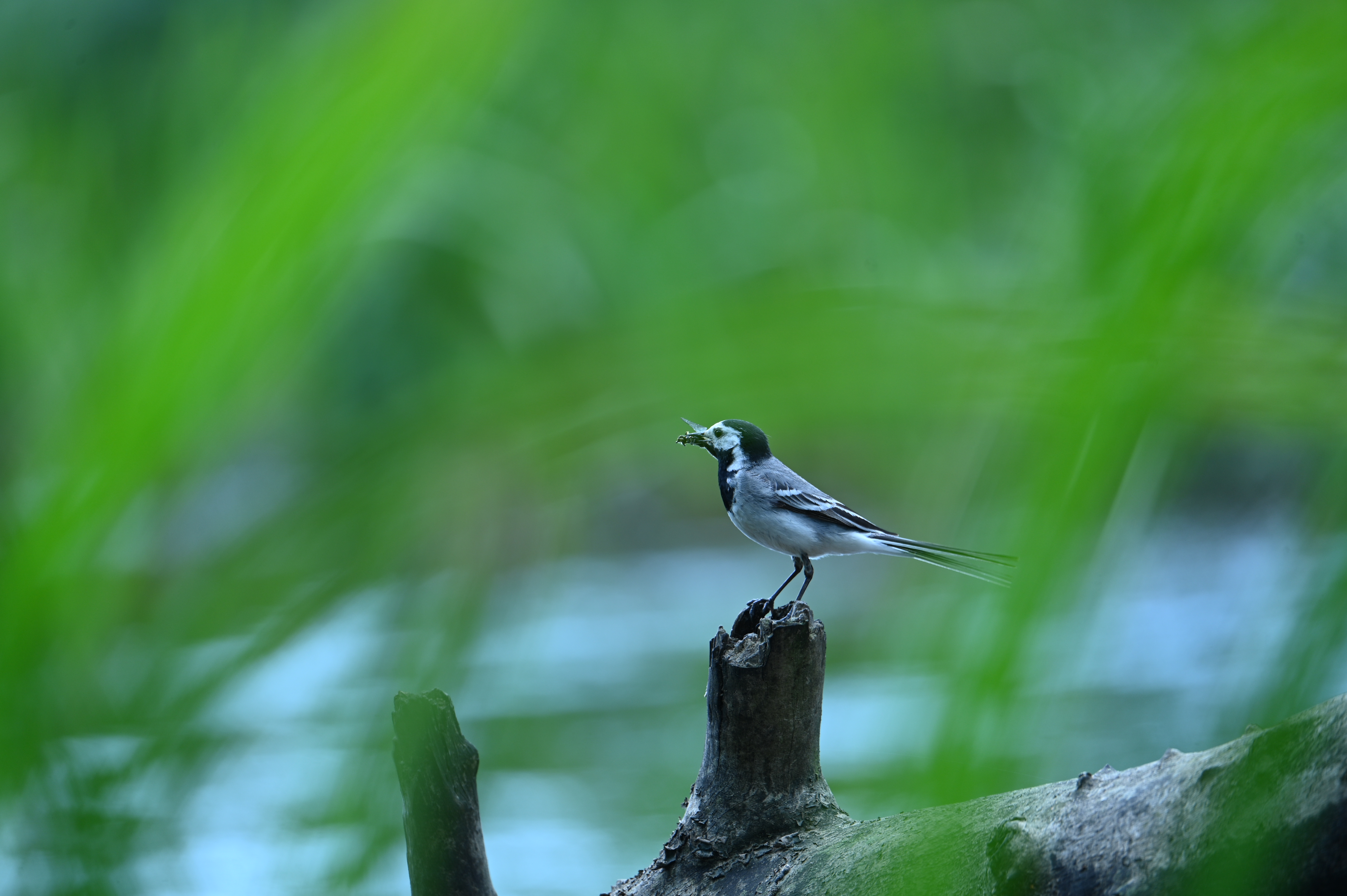 2025/07/09-14 - trip/DSC_0435.JPG